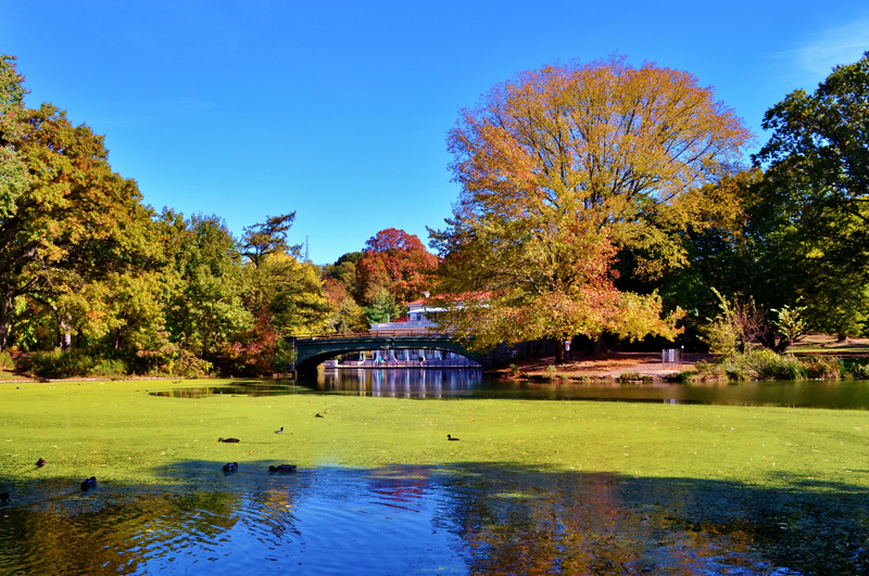 Prospect-Park-Fall-Foliage-GigiNYC-Brooklyn-Secrets-NYC
